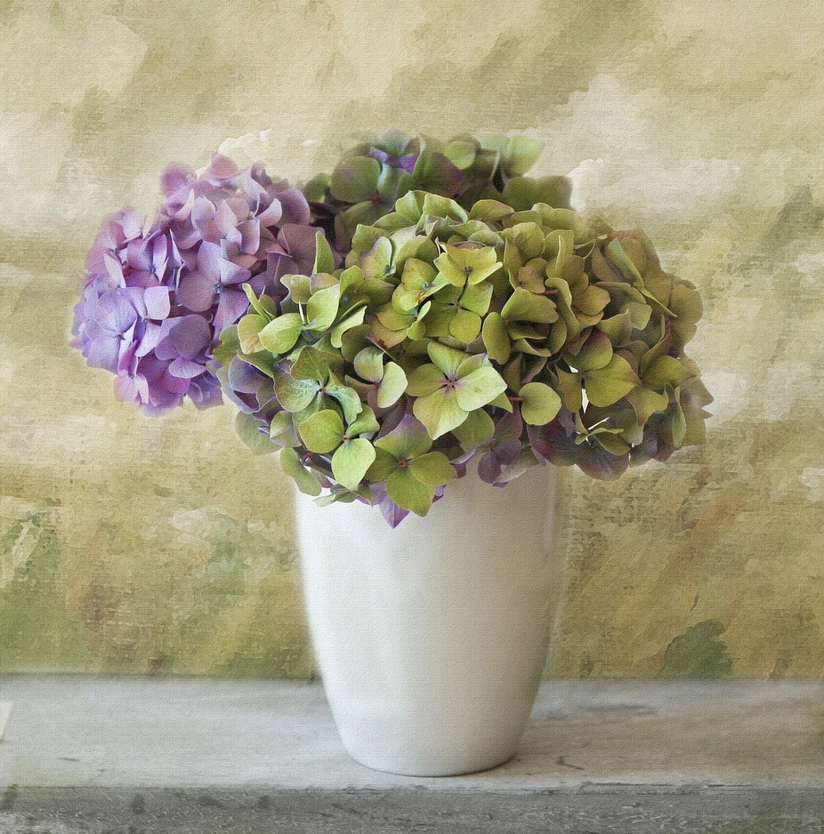 От сезонного чуда к вечному акценту – интеграция живой и сухой гортензии в интерьер