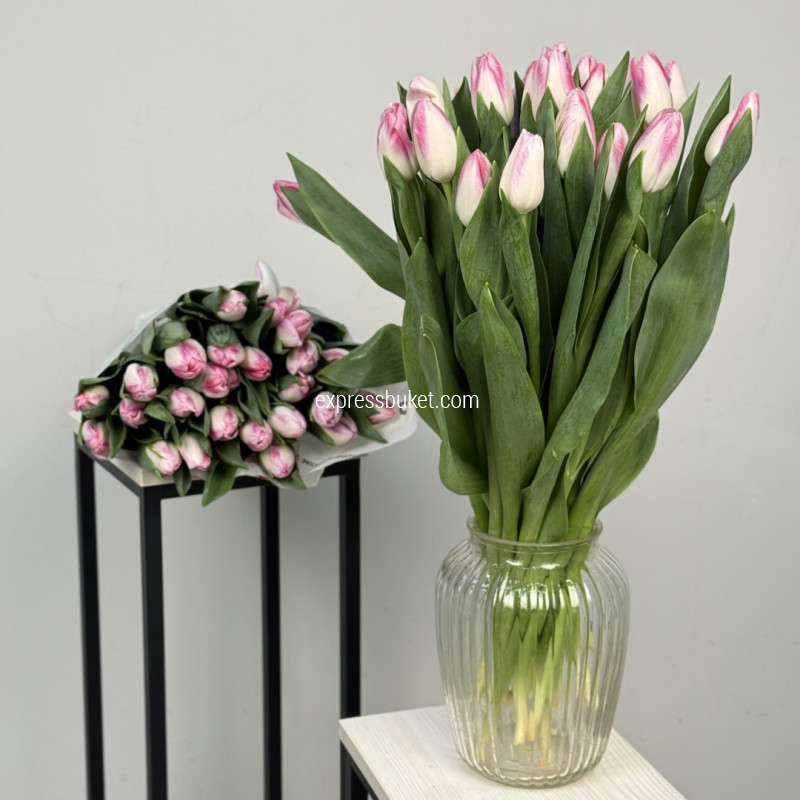 Тюльпаны розовые, 25шт