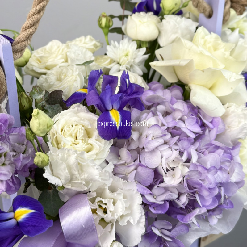 Фиолетовый стиль