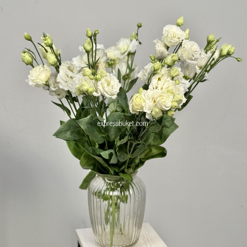 Эустома, 10 шт