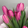 Фиолетовые тюльпаны, 11 шт